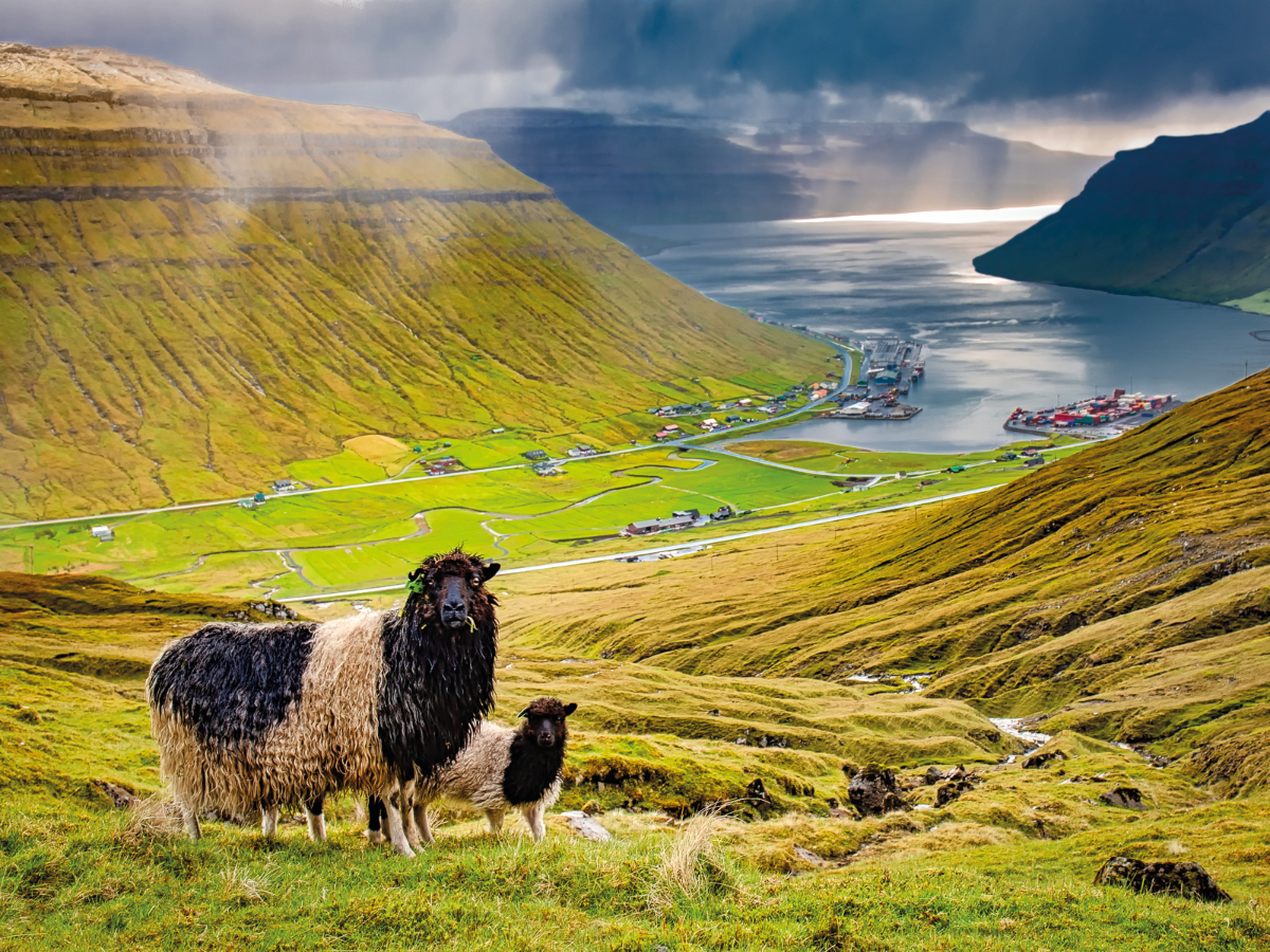 faroe