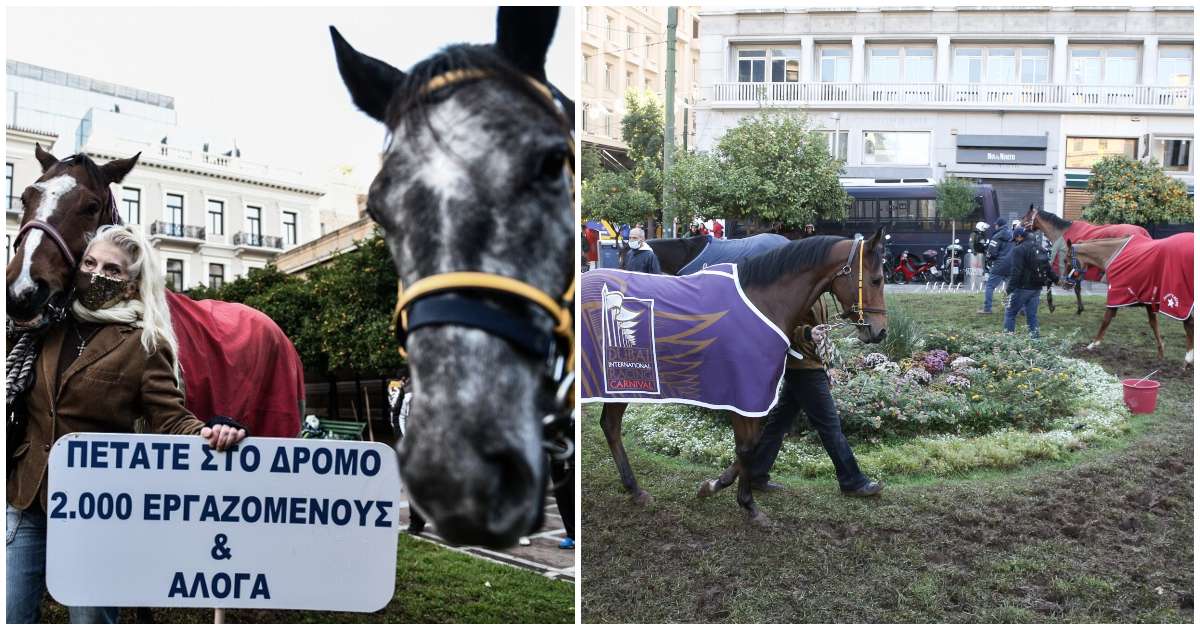 Κατέβηκαν τα άλογα στο κέντρο της Αθήνας  γιατί η κυβέρνηση «πετάει στον δρόμο 2.000 εργαζόμενους & άλογα»(pics)