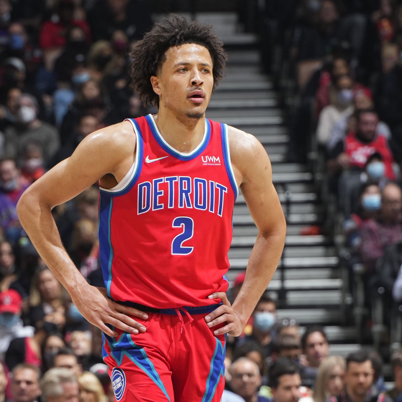 Δύσκολο task για έναν rookie!